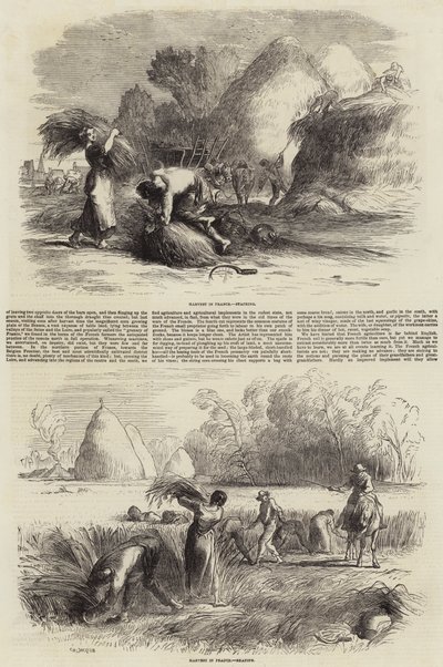 Agriculture en France - Charles Emile Jacque